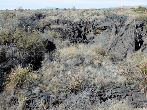 Valley of Fires, New Mexico.