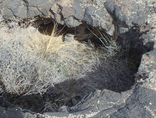 Valley of Fires, New Mexico.