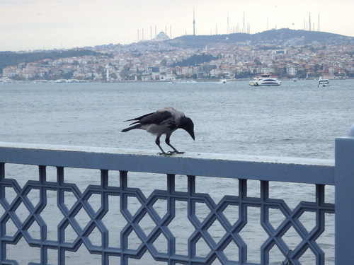 Istanbul.