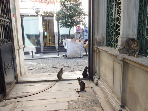 Istanbul.